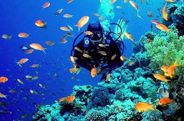 SHARM EL SHEIKH TURU