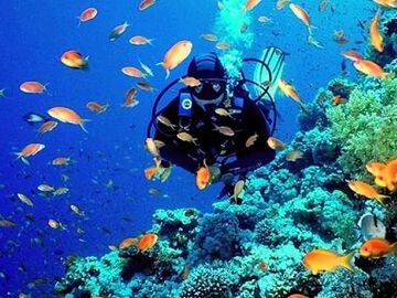 SHARM EL SHEIKH TURU